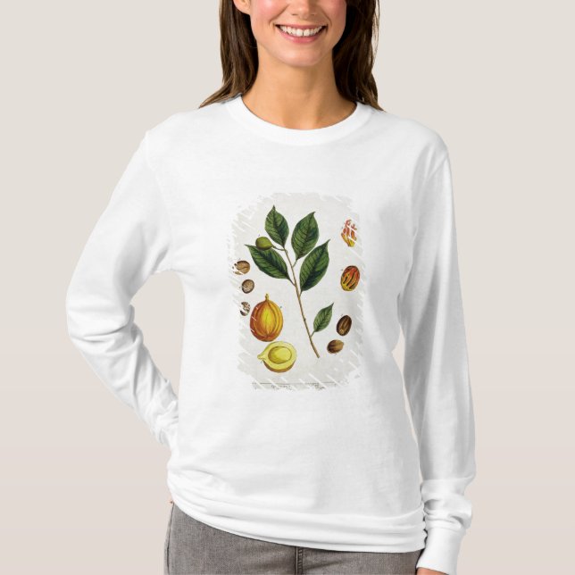 Camiseta La nuez moscada moscada, platea 353 "de un (Anverso)
