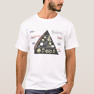 Camiseta La pirámide de alimentación del amante del
