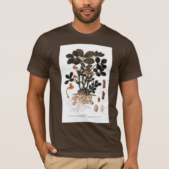 Camiseta La planta del cacahuete (Anverso)