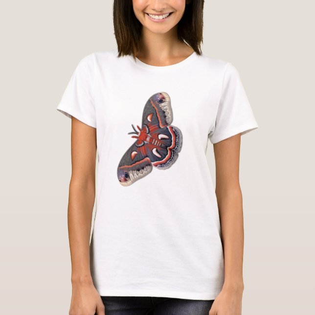Camiseta La polilla de Cecropia de Missouri Ravens variante (Anverso)