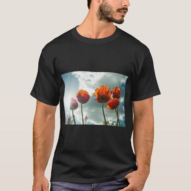 Camiseta La prosperidad y la serenidad en la nube (Anverso)