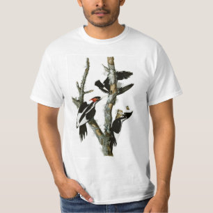 Camiseta La pulsación de corriente Marfil-cargada en cuent
