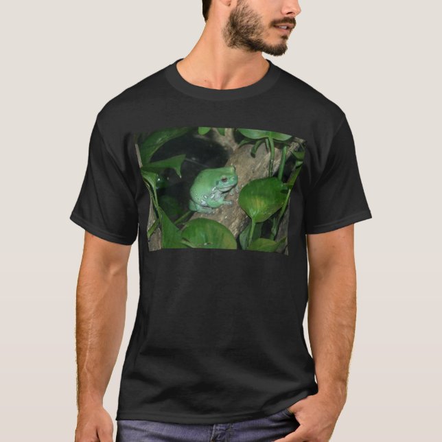 Camiseta La rana arbórea del blanco, rana regordeta (Anverso)