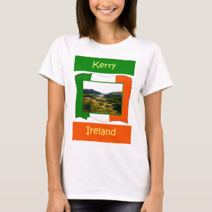 Camiseta La serie de artistas del MUSEO jGibney Ireland Fla