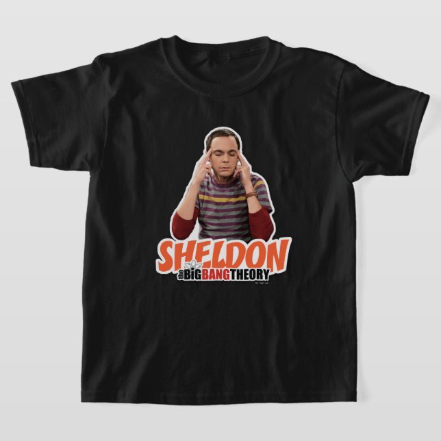 Camiseta La teoría del Big Bang | Sheldon (Distribución)