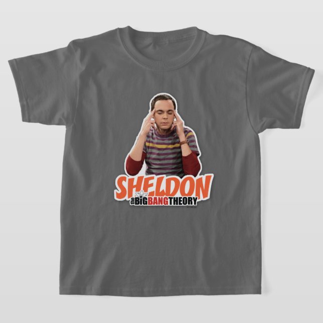 Camiseta La teoría del Big Bang | Sheldon (Distribución)
