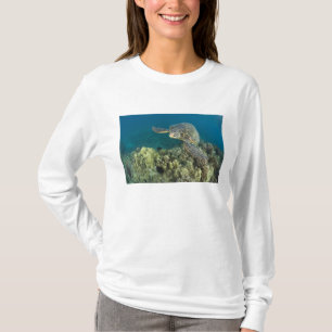 Camiseta La tortuga marina verde, (Chelonia mydas), es la 2