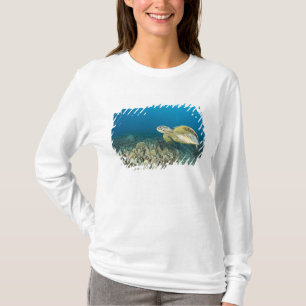 Camiseta La Tortuga Verde, (Chelonia mydas), es la 3