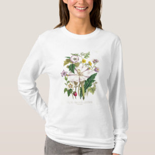 Camiseta La trompeta del diablo, platea 46 "de las señoras