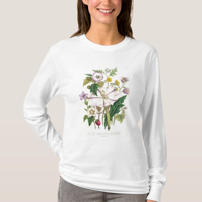 Camiseta La trompeta del diablo, platea 46 "de las señoras (Anverso)