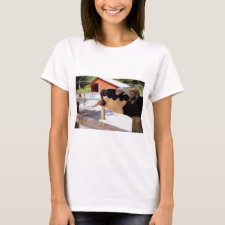 Camiseta La vaca que lo pega es lengua hacia fuera para las