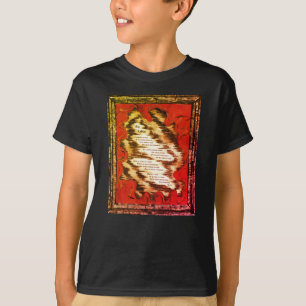Camiseta La vejez
