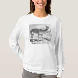 Camiseta La vicuña en la Río de Azufre