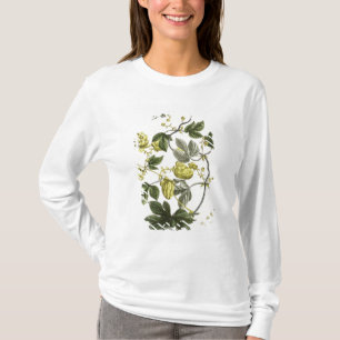 Camiseta La vid de salto, "de la persona de tierra firme