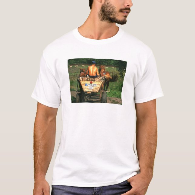 CAMISETA LA VIDA DEL VERANO ES DEMASIADO CORTA (Anverso)
