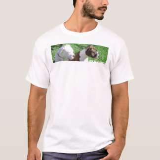 Camiseta La vida es boxeador