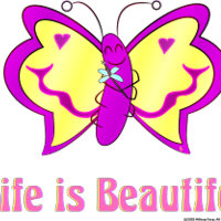 La vida es una hermosa mariposa