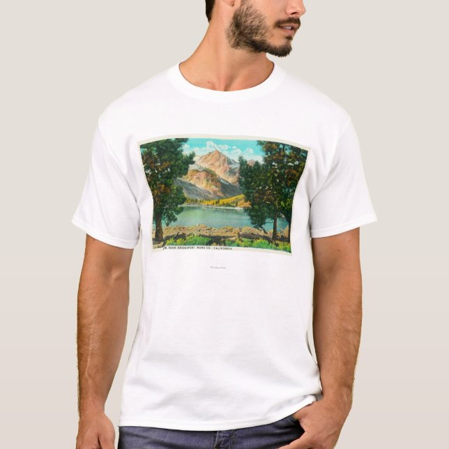 Camiseta La vista de los lagos gemelos acerca a Bridgeport (Anverso)
