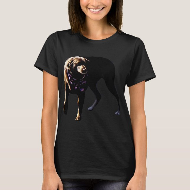 Camiseta Lab de chocolate (Anverso)