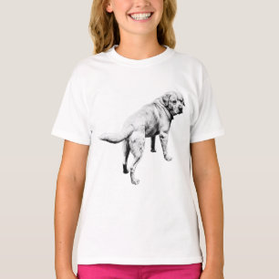 Camiseta Laboratorio de retroceso, fácil salto