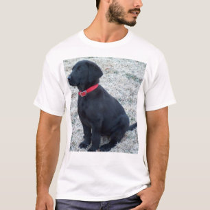 Camiseta Laboratorio negro
