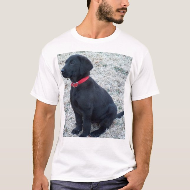 Camiseta Laboratorio negro (Anverso)