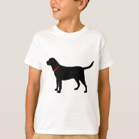 laboratorio negro, labrador retriever