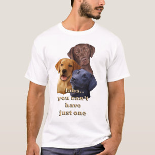 Camiseta Laboratorios