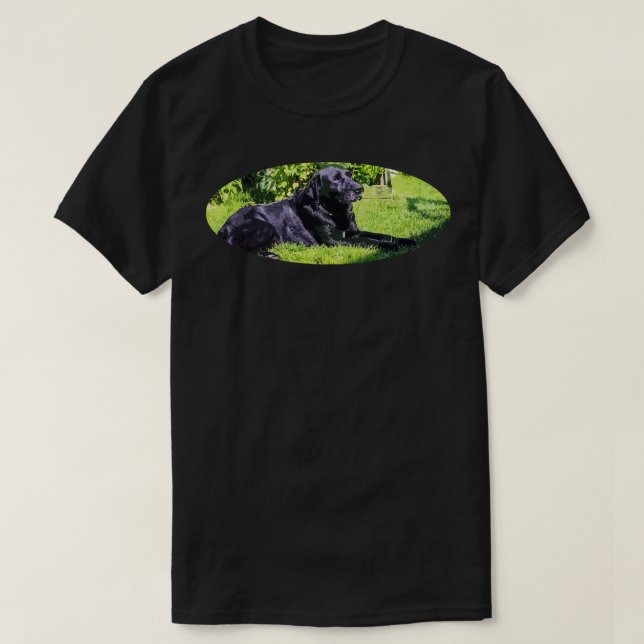 Camiseta labrador (Diseño del anverso)
