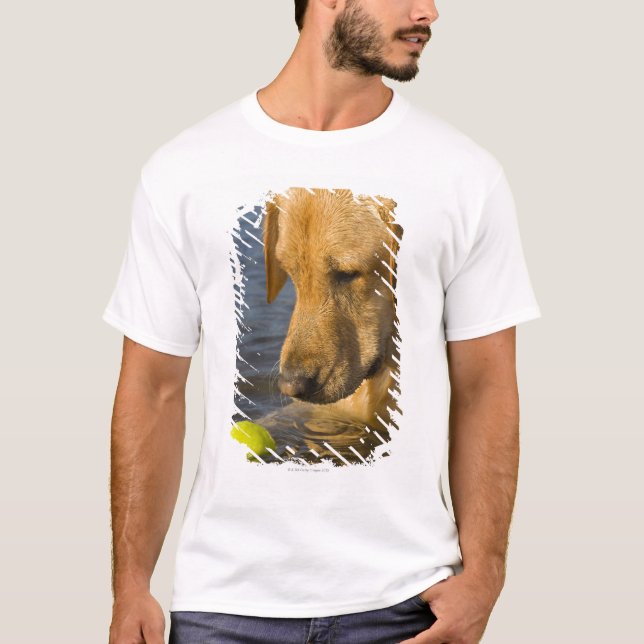 Camiseta Labrador amarillo con una pelota de tenis en el (Anverso)