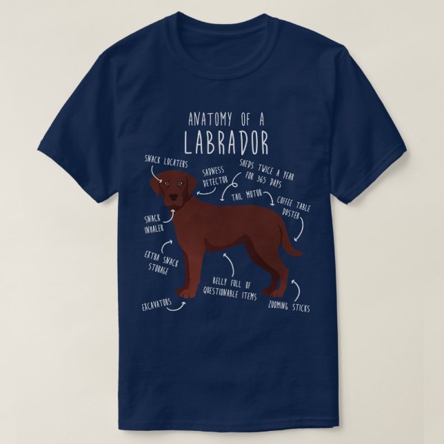 Camiseta Labrador de chocolate recuperador anatomía de perr (Diseño del anverso)