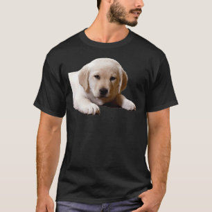 Camiseta Labrador Nap Time