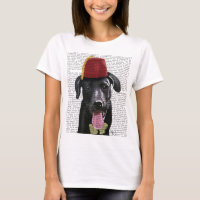 Labrador negro con fez