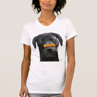 Labrador negro con huesos en la nariz 2