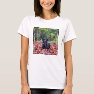 Camiseta Labrador negro en hojas de otoño