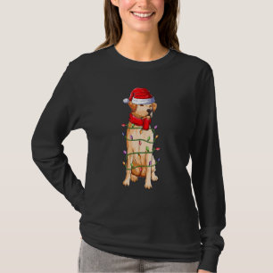 Camiseta Labrador perro Santa Claus Navidades de ropa chico