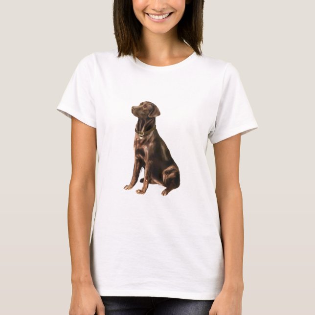 Camiseta Labrador Recuperador - Chocolate 1 (Anverso)