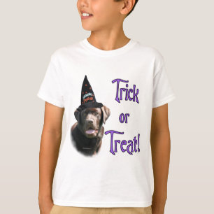 Camiseta Labrador Recuperador (chocolate) Trick