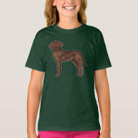 Labrador Retriever marrón Adorable perro labrador
