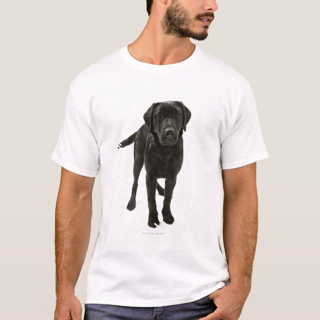 Camiseta Labrador retriever negro (Anverso)