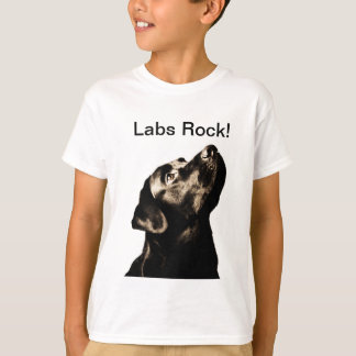 Camiseta Labrador retriever negro impresionante