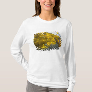 Camiseta Lado sur de la isla Ewing, islas San Juan,