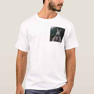 Camiseta ladrón
