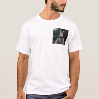 Camiseta ladrón