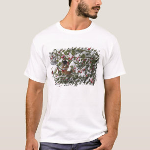Camiseta ladrón resguardado en un árbol hueco luego de una 