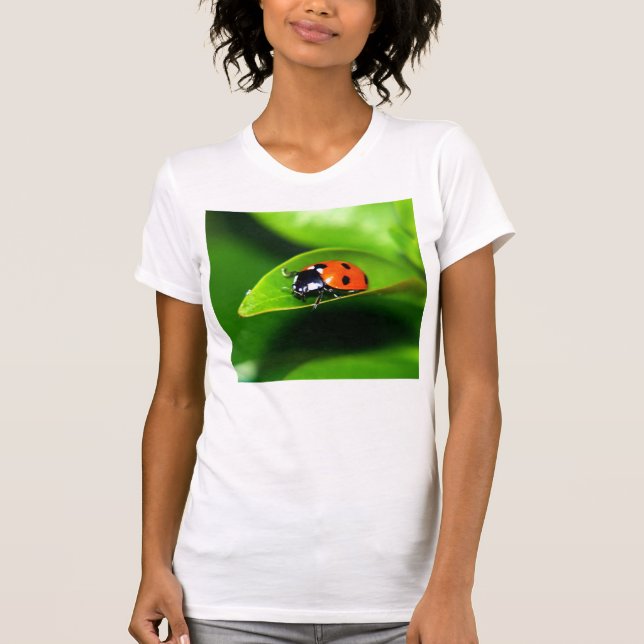 Camiseta Ladybug (Anverso)