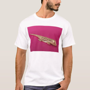 Camiseta Lagarto, de Colombia