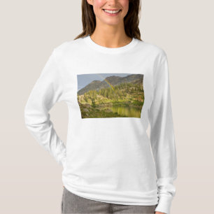 Camiseta Lago Cecret con arcoíris sobre Devil's Castle,