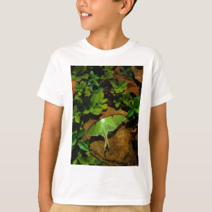 Camiseta Lágrima luna verde gigante