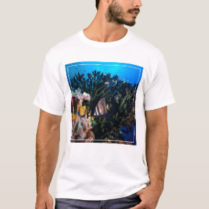 Camiseta Laja Ampat 4 subacuáticos